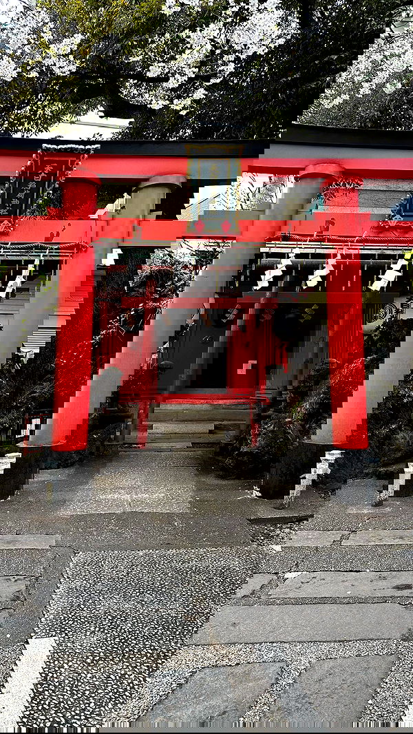 kasumi_sen image ~ Altpins