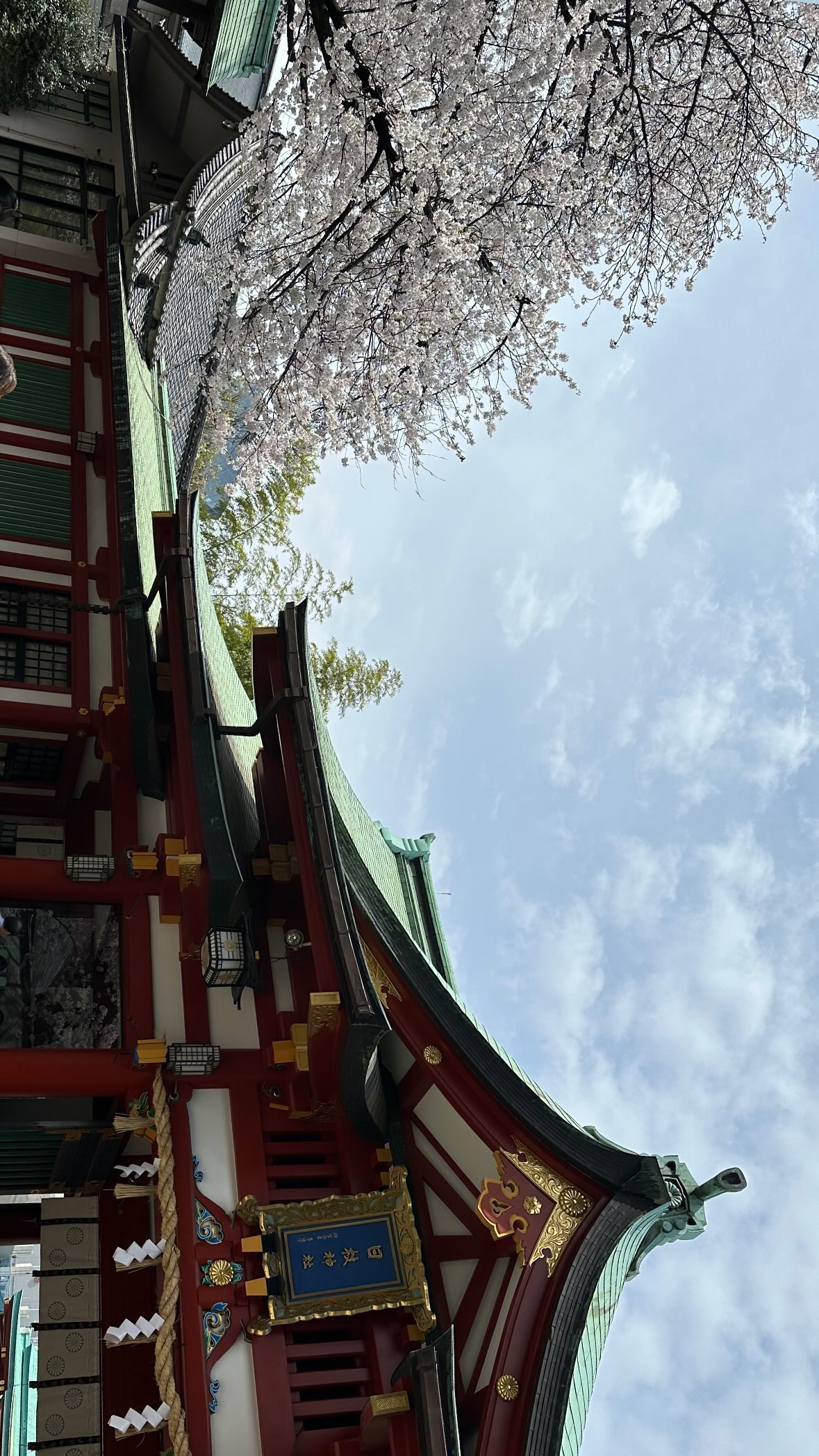 kasumi_sen instagram image archive image