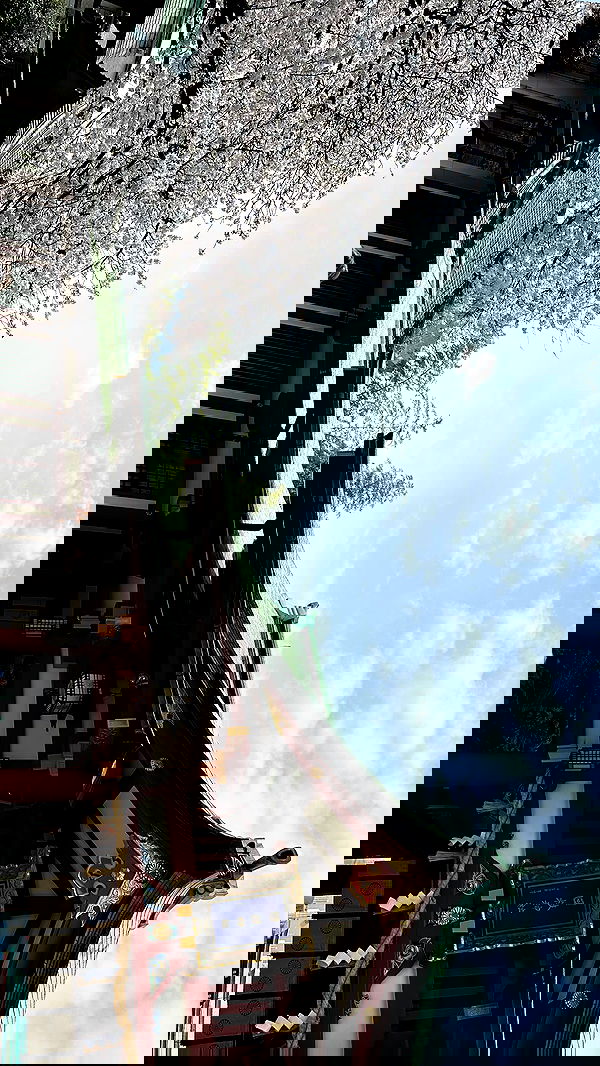 kasumi_sen image ~ Altpins