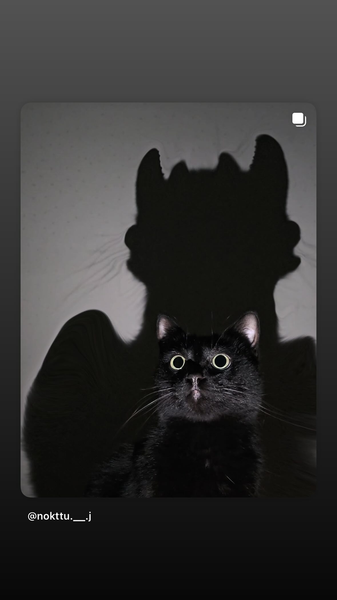 kasumi_sen instagram image archive image