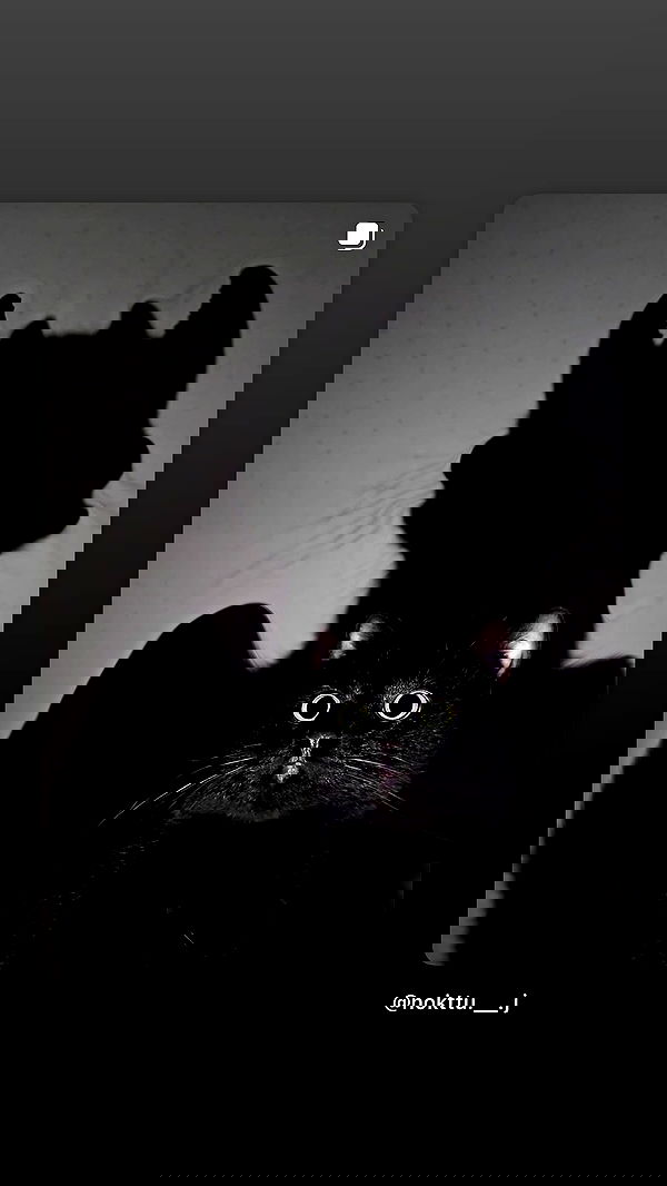 kasumi_sen image ~ Altpins