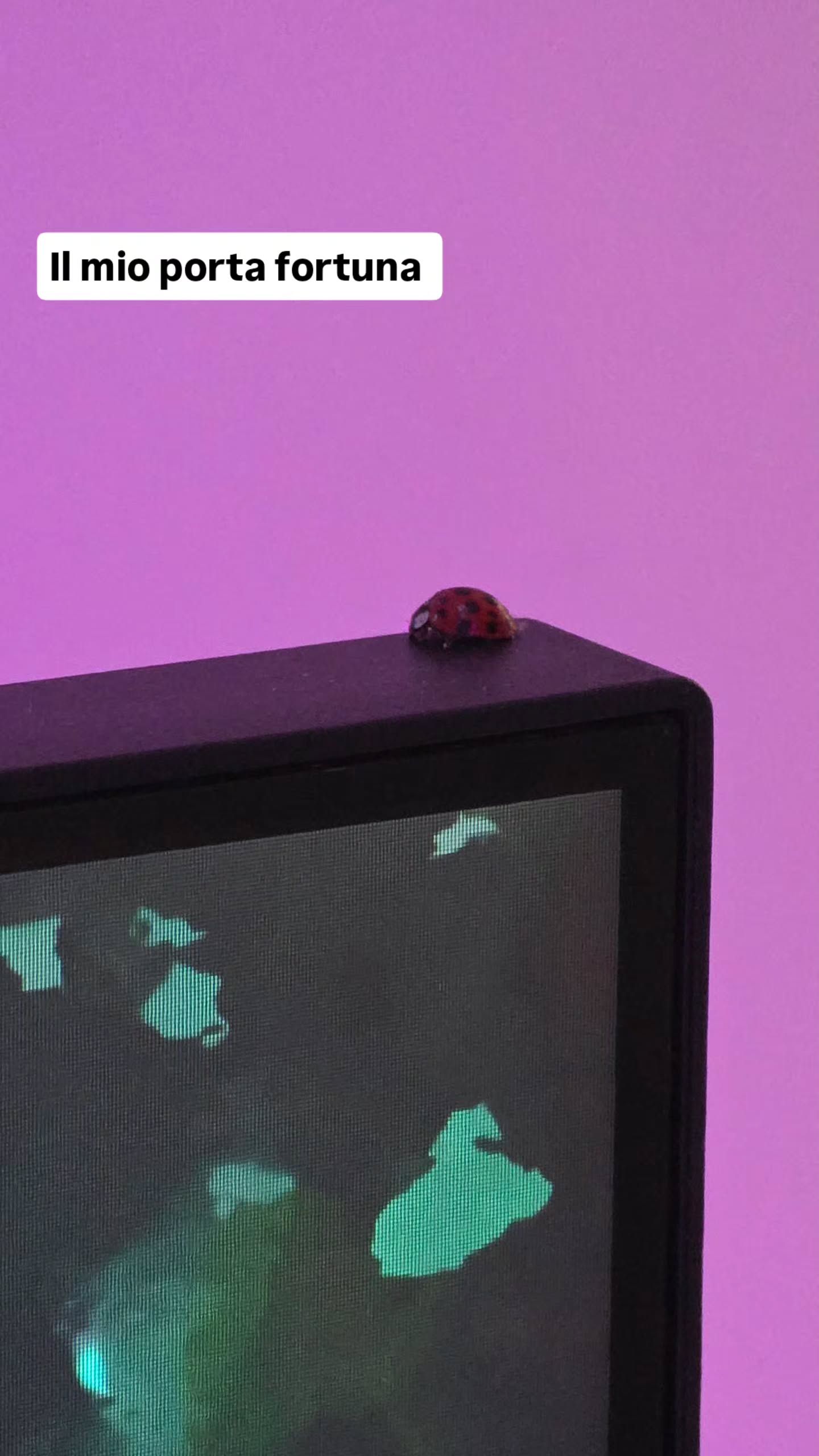 kasumi_sen instagram image archive image