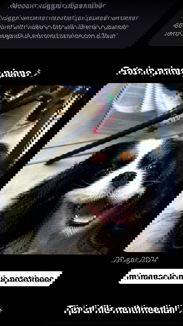 kasumi_sen image ~ Altpins