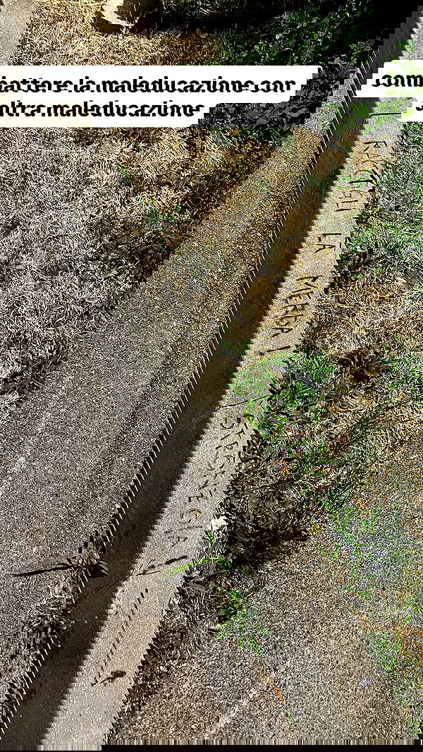 kasumi_sen image ~ Altpins