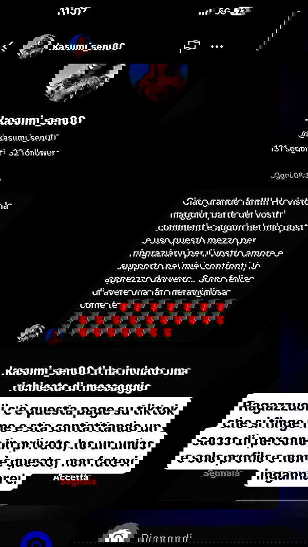 kasumi_sen image ~ Altpins