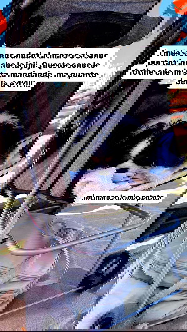 kasumi_sen image ~ Altpins