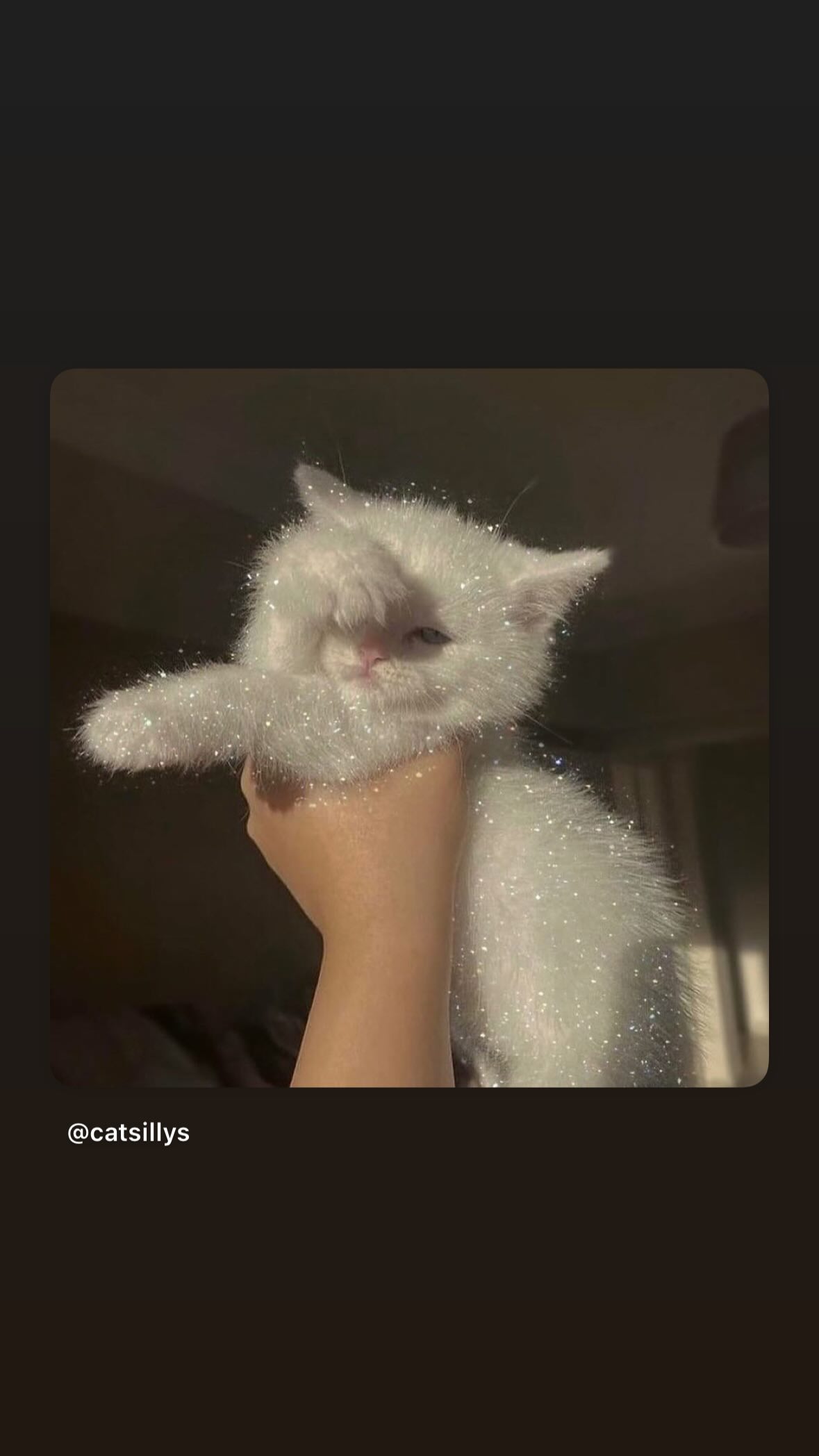 kasumi_sen instagram image archive image