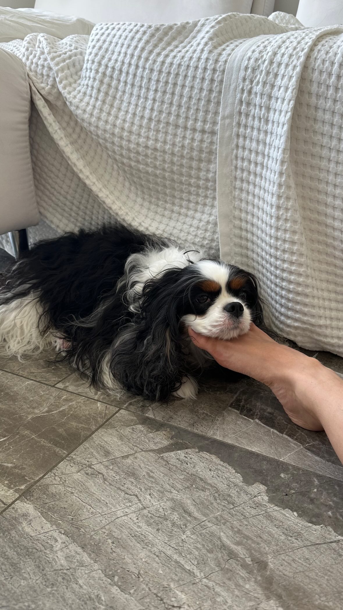 kasumi_sen instagram image archive image