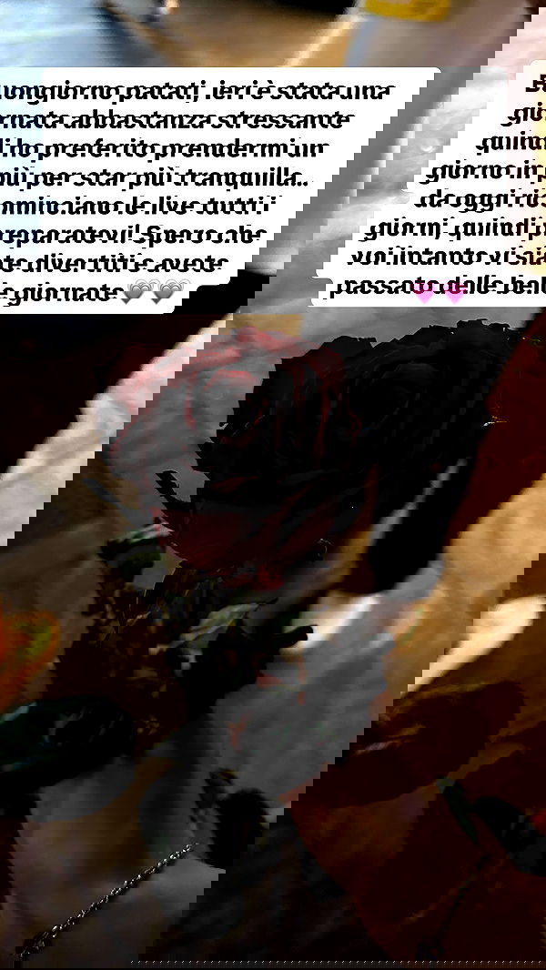 kasumi_sen image ~ Altpins