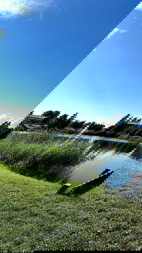 kasumi_sen image ~ Altpins