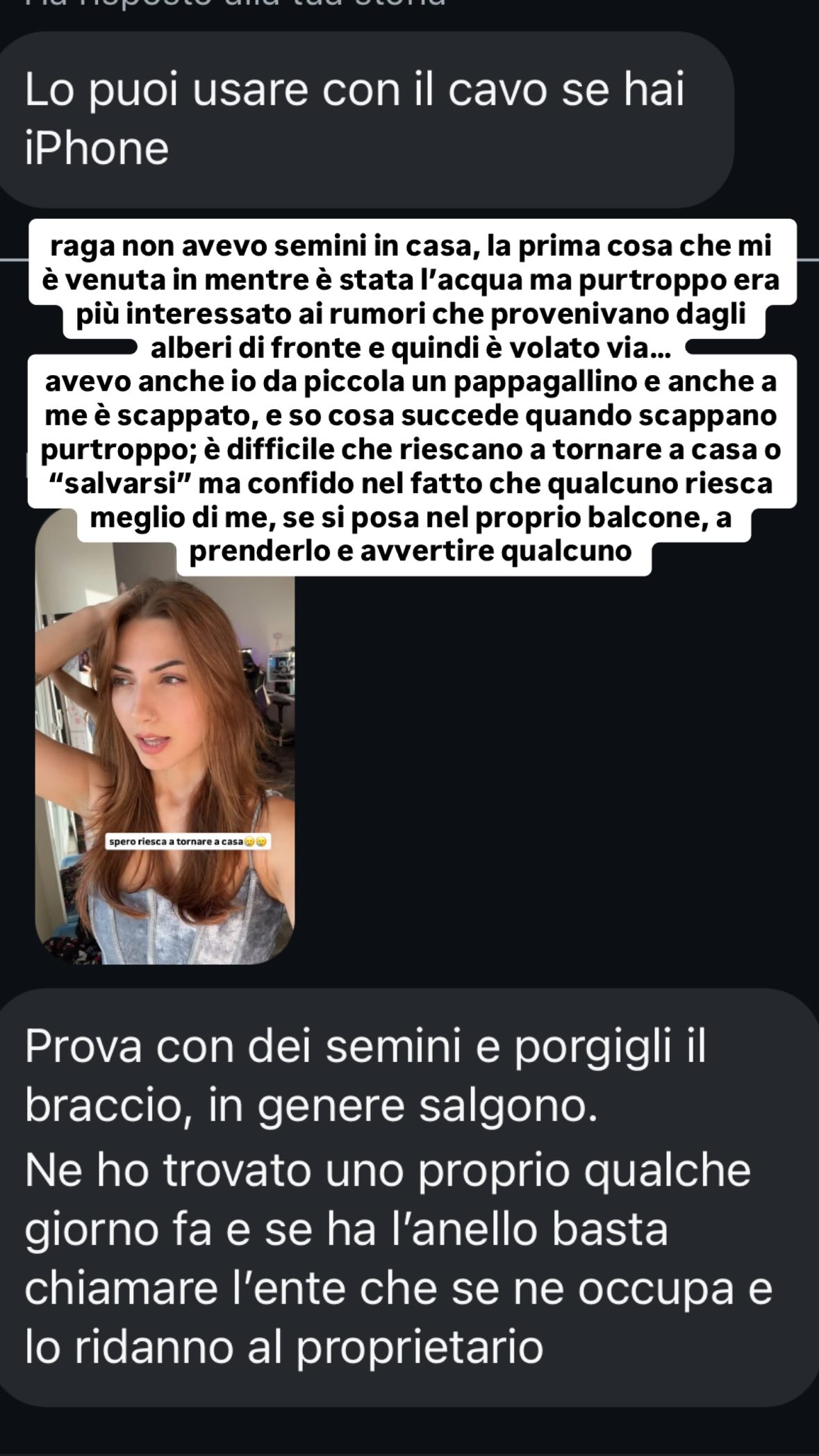 kasumi_sen instagram image archive image