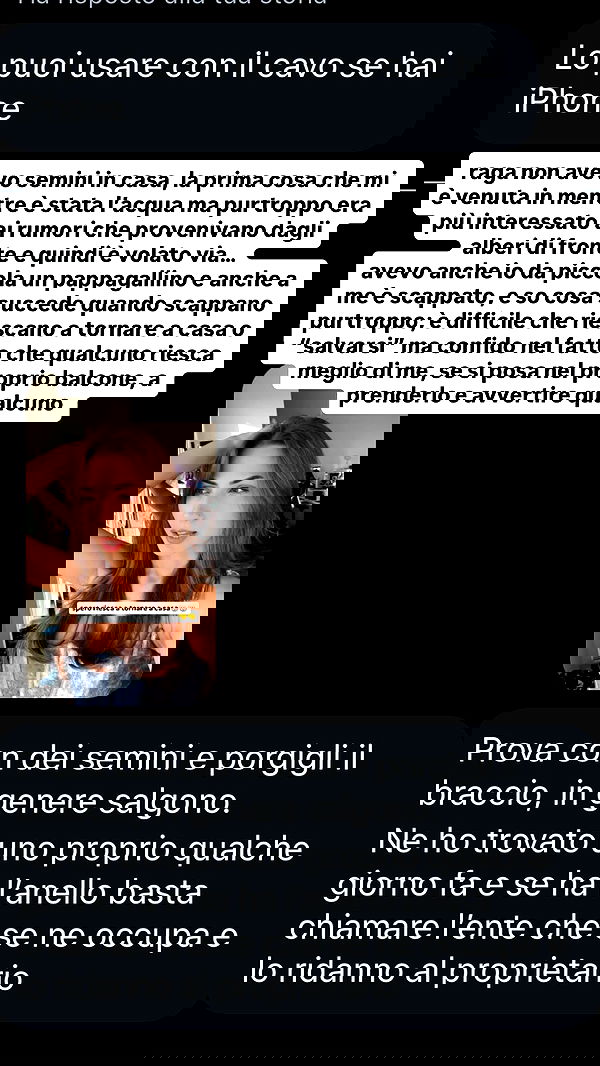 kasumi_sen image ~ Altpins