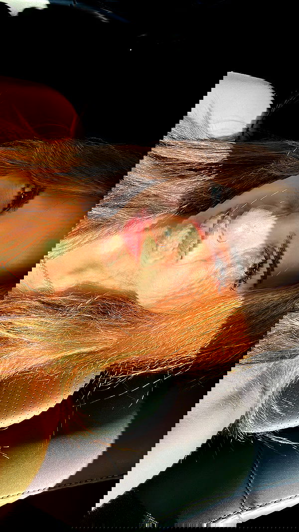 kasumi_sen image ~ Altpins