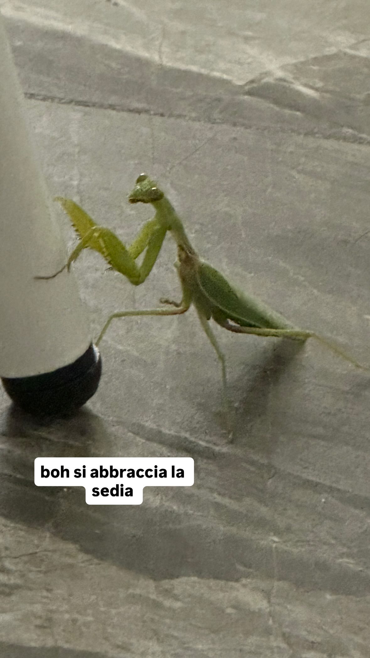 kasumi_sen instagram image archive image