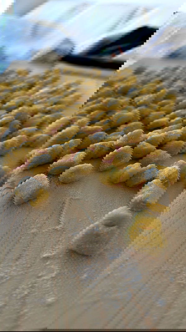 kasumi_sen image ~ Altpins