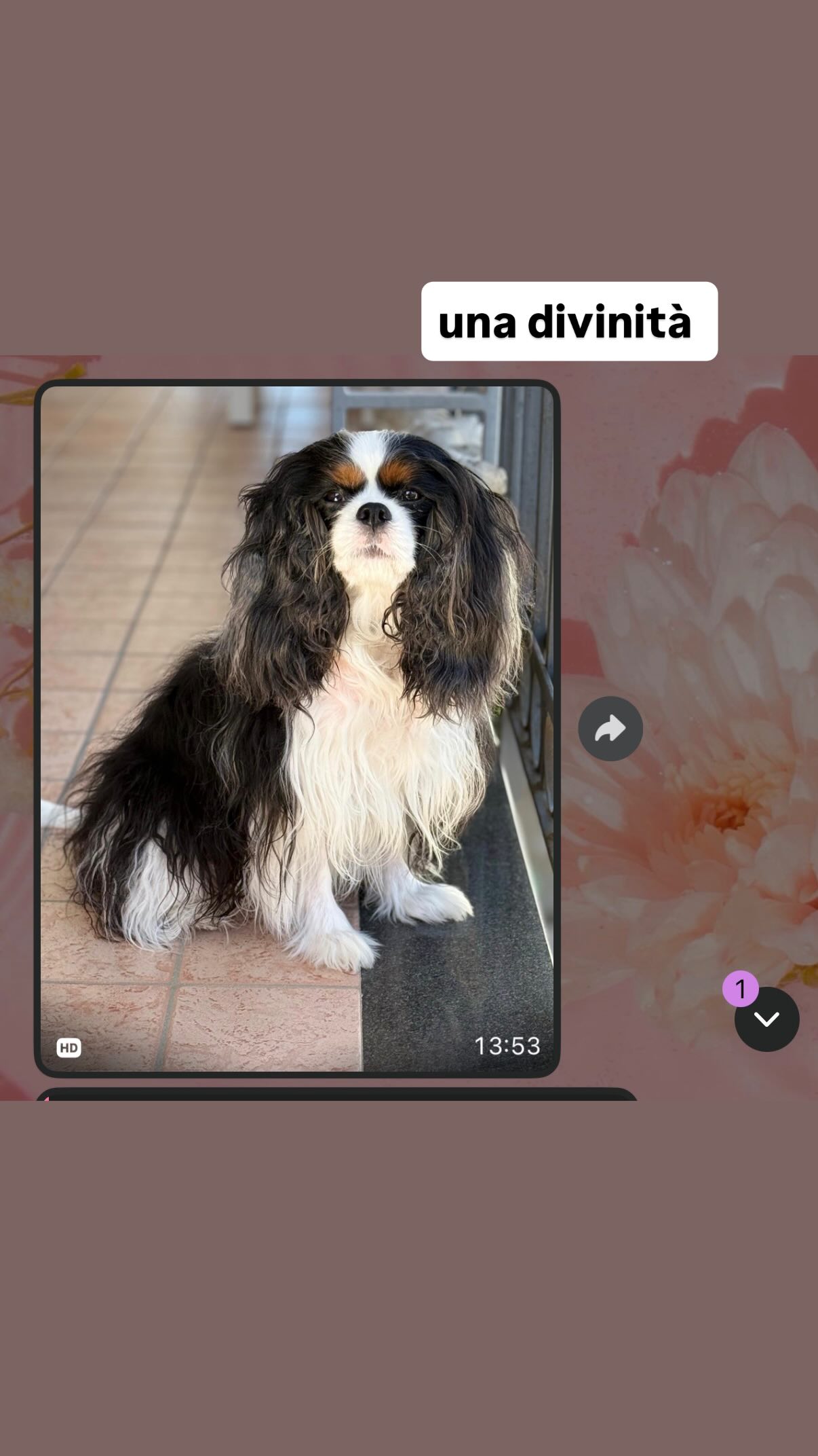 kasumi_sen instagram image archive image