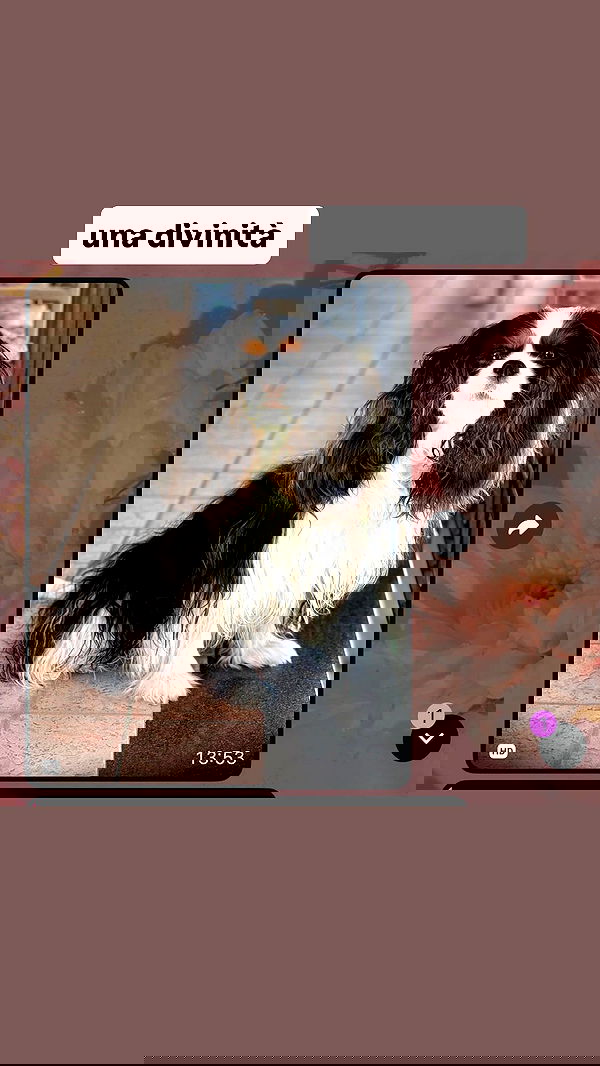 kasumi_sen image ~ Altpins