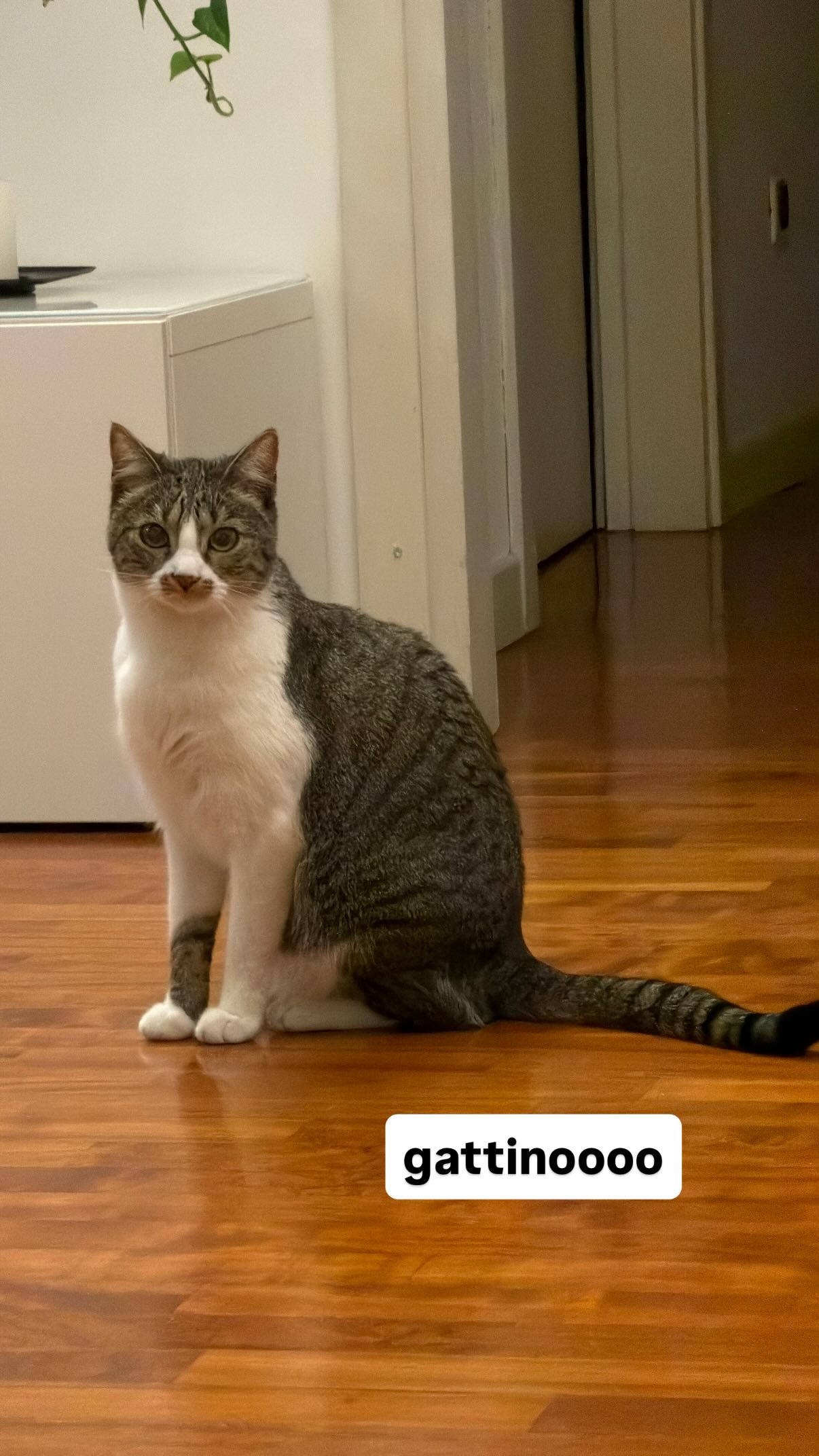 kasumi_sen instagram image archive image