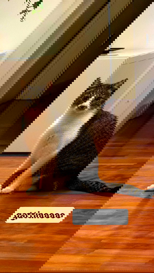 kasumi_sen image ~ Altpins