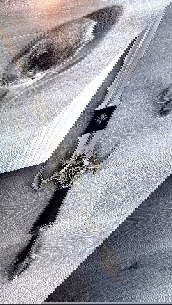 katanires katanires archive image