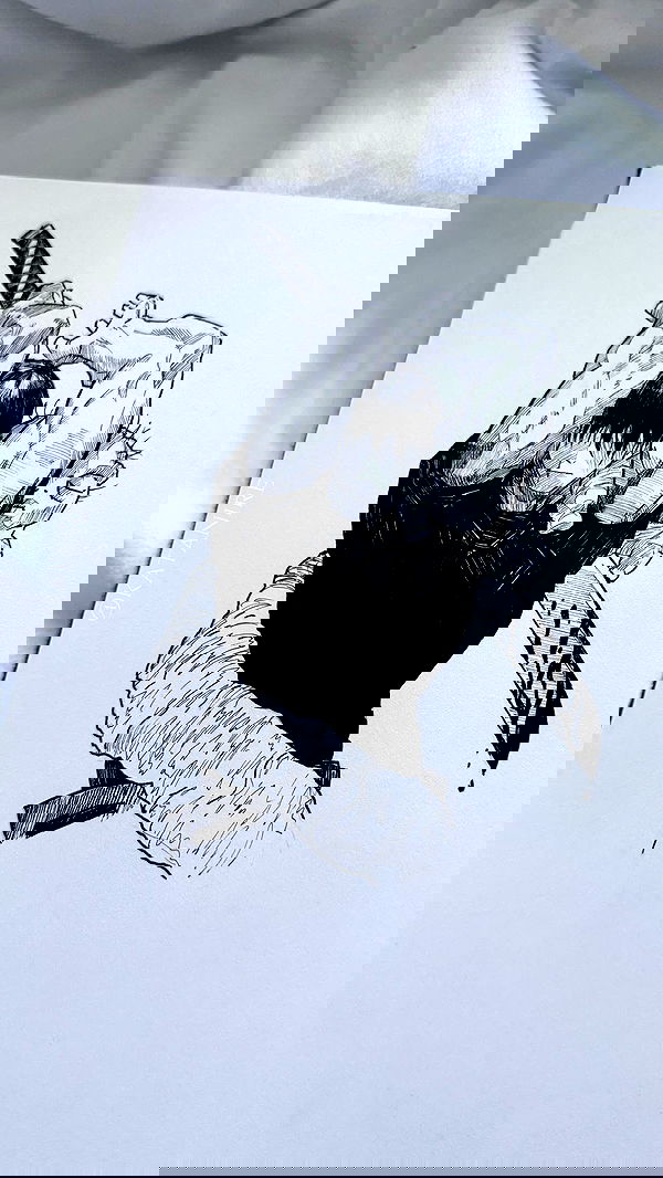 katanires katanires archive image