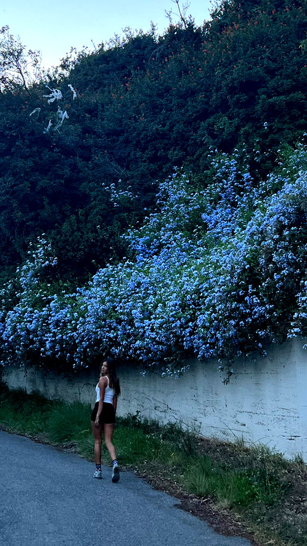 katarina.deme instagram image archive image