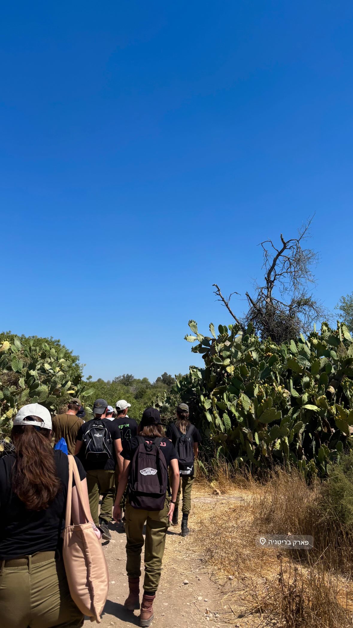 katia_z.k instagram image archive image