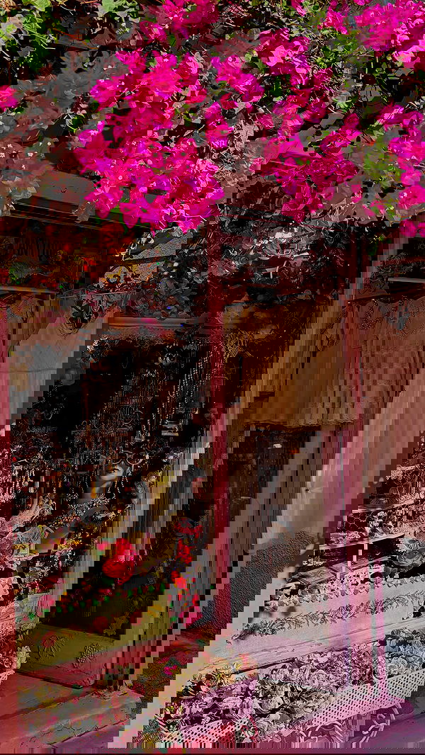 katia_z.k image ~ Altpins