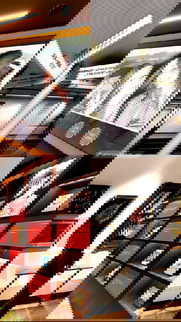 katia_z.k image ~ Altpins