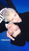katie_westwood Altpins Profile Picture