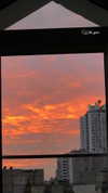 katie_westwood Altpins Profile Picture