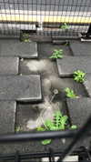 katie_westwood Altpins Profile Picture