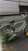katie_westwood Altpins Profile Picture