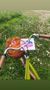 katie_westwood Altpins Profile Picture