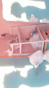 katie_westwood Altpins Profile Picture