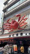 katie_westwood Altpins Profile Picture