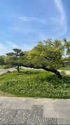 katie_westwood Altpins Profile Picture