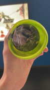 katie_westwood Altpins Profile Picture