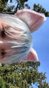 katie_westwood Altpins Profile Picture