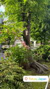 katie_westwood Altpins Profile Picture
