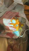 katie_westwood Altpins Profile Picture