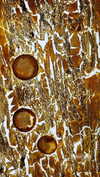 katie_westwood Altpins Profile Picture