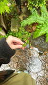 katie_westwood Altpins Profile Picture