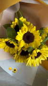 katie_westwood Altpins Profile Picture