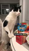 katie_westwood Altpins Profile Picture