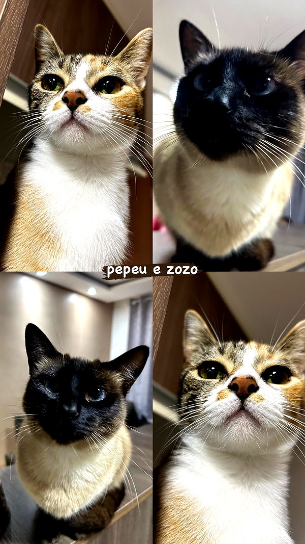 katsumiau instagram image archive image