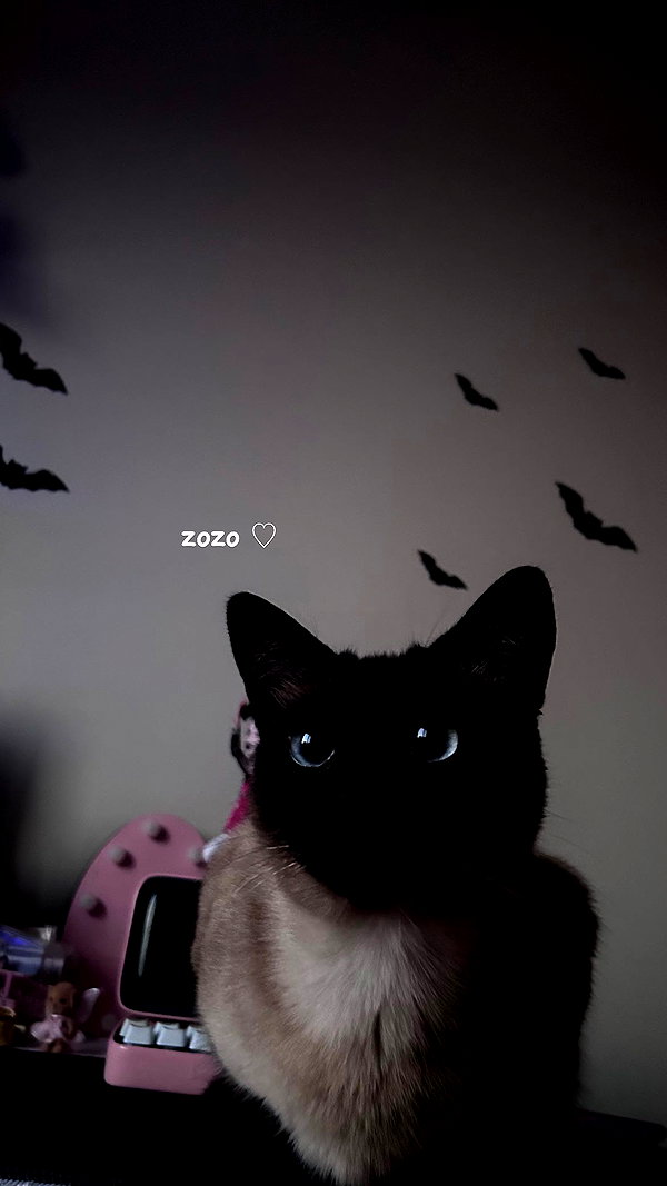 katsumiau instagram image archive image