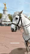 keli_ezra Altpins Profile Picture