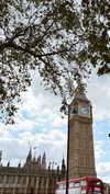 keli_ezra Altpins Profile Picture