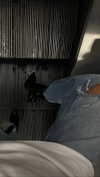 keli_ezra Altpins Profile Picture